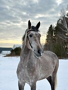 Маршруты 90-100см