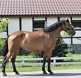 МАРШРУТЫ 90-100, ДК90 