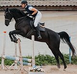 КОБЫЛА В СПОРТ