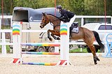 Кобыла 153 вх в спорт 