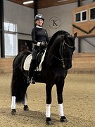 ФРИЗСКИЙ ЖЕРЕБЕЦ 6 ЛЕТ