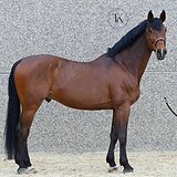 МАРШРУТЫ ДО 130 СМ