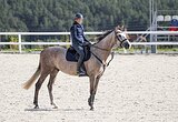 МЕРИН В КОНКУР • МАРШРУТЫ 70
