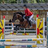 Подойдёт под любителя