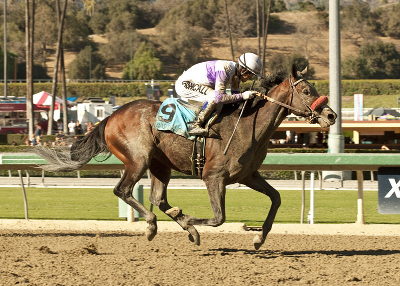 Ипподром Santa Anita 2013 год, скачка FrontRunner Stakes