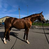 СТАРТОВЫЙ ОПЫТ ДО 115 СМ