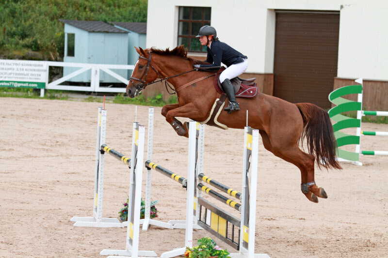 ТИНКА А ЗЕТ-16 и Зейферова Жанна