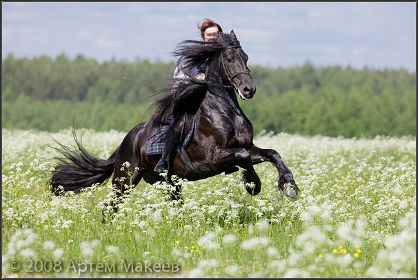 Свечинский фриз