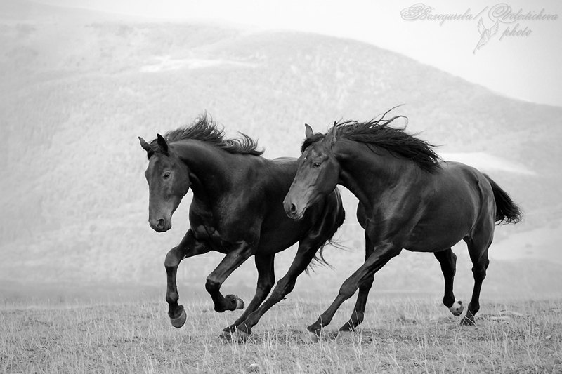 осенний фотосеминар Кати Друзь в КЧР