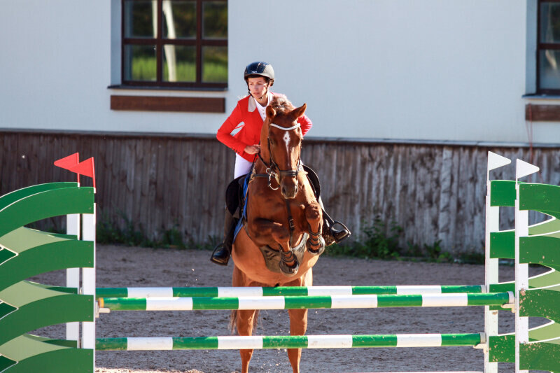 АГЕНТ-13 и Пердофориди Алена