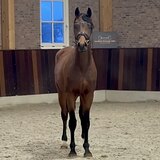 MISTER DIAMOND & FOR FERRERO