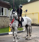 Привезён из Европы