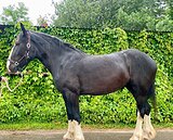 ЦЕНА СНИЖЕНА