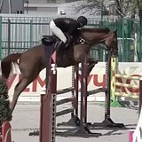 СТАРТОВЫЙ ОПЫТ ДО 120 СМ