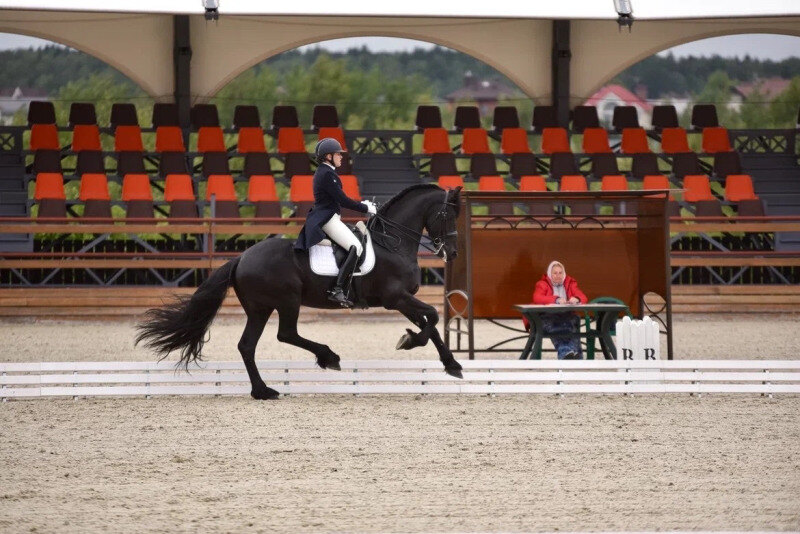 Маскина Наталья и фризский жеребец Аренд Мв Д Слотхоэвэ