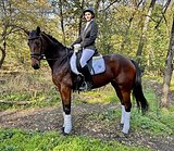 ПЕРСПЕКТИВНАЯ КОБЫЛА В ВЫЕ