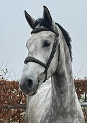 от Diaro Gin 5 у.о