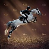 Ищем 2-ух лошадей для покупк