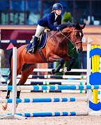 Кобыла в конкур под ребенка