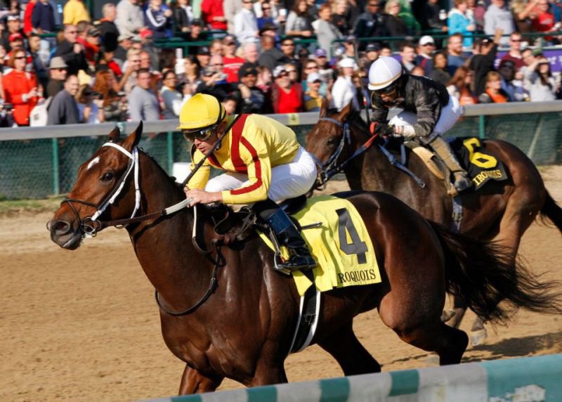 Ипподром Churchill Downs 2010 год, скачка Iroquois Stakes.