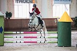 Серебряная Леди 