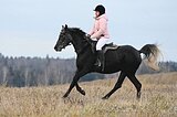 Дульсинея