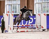 кросс-кнаб в конкур