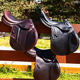 Выездная примерка седел