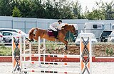 МЕРИН В КОНКУР • МАРШРУТЫ 10