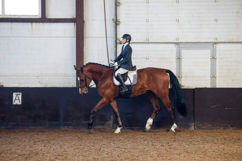 ЧАКДАНО ГРАНД-20 и Алексеева Елена