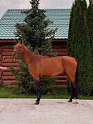 ПОДХОДИТ ДЛЯ НАЧИНАЮЩИХ