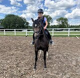 ПОНИ В КОНКУР/ВЫЕЗДКУ