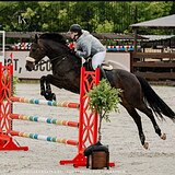 КОБЫЛА НА МАРШРУТЫ ДО 130 СМ 