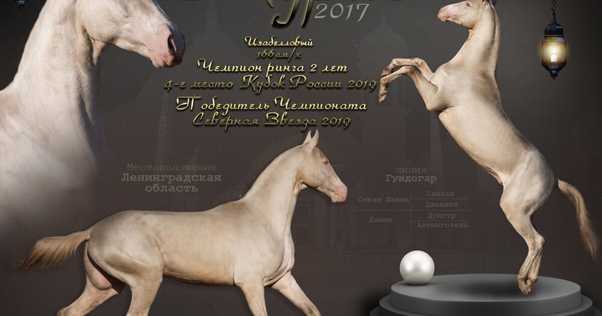 Полулошадь полугрифон