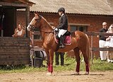 МАРШРУТЫ 80 • КОНКУР / ДЛЯ ДУ