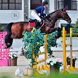 МАРШРУТЫ ДО 145 - 150 СМ