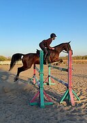 красавица ахалтекинка 