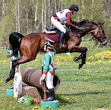 КОБЫЛА В КОНКУР / ТРОЕБОРЬЕ 