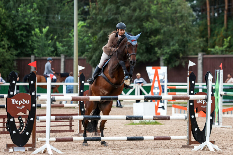 КОММАНДЕР Ф ДАМГААРД-11 и Колосова Арина