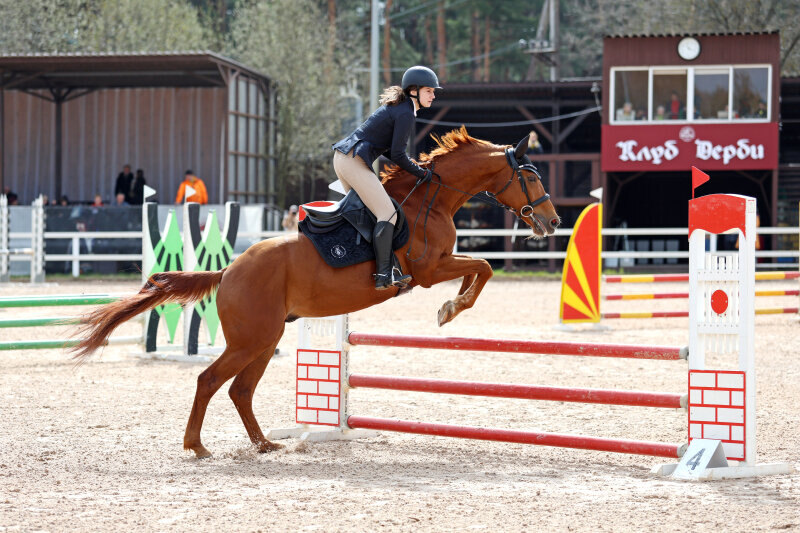 АСТЕРИКС-11 и Петриди Александрия