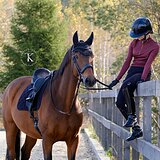 ИМПОРТИРОВАН ИЗ ДАНИИ