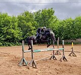 Мерин пони-класс маршруты 10