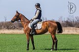 ПРЕКРАСНОЕ ПРОИСХОЖДЕНИЕ