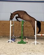 Очень хорошая цена!