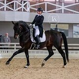 ЖЕРЕБЕЦ В ПРОИЗВОДИТЕЛИ