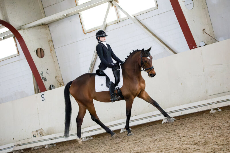 ТЕБЕРДА-13 и Ерошеня София