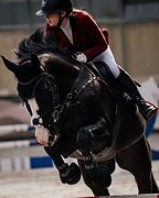 МАРШРУТЫ 120 