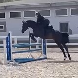 СТАРТОВЫЙ ОПЫТ ДО 110 СМ 