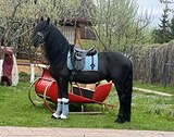 Великолепный фриз