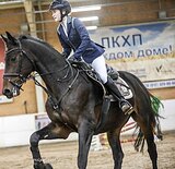 ВЫСОКИЙ МЕРИН В КОНКУР / ХОБ